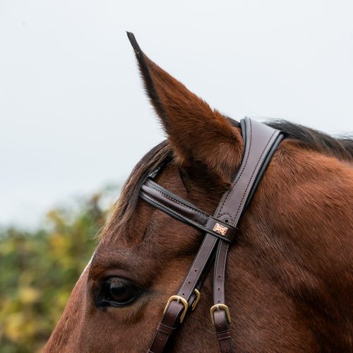 Padded International