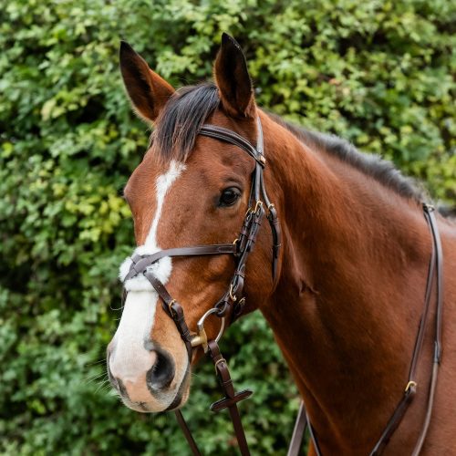 British handmade bespoke English leather padded grackle bridle brass fittings black and chestnut brown