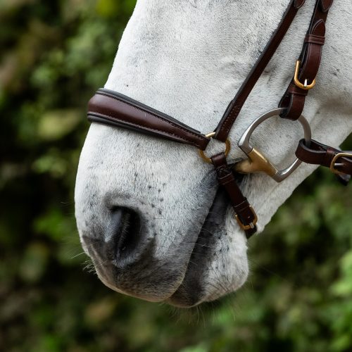Padded Leather Drop Noseband
