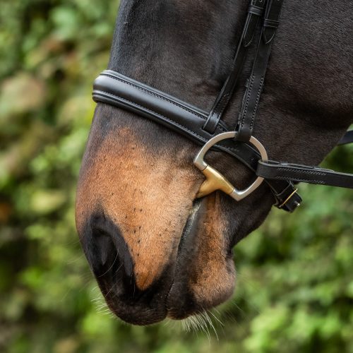 Padded Competition Cavesson Noseband