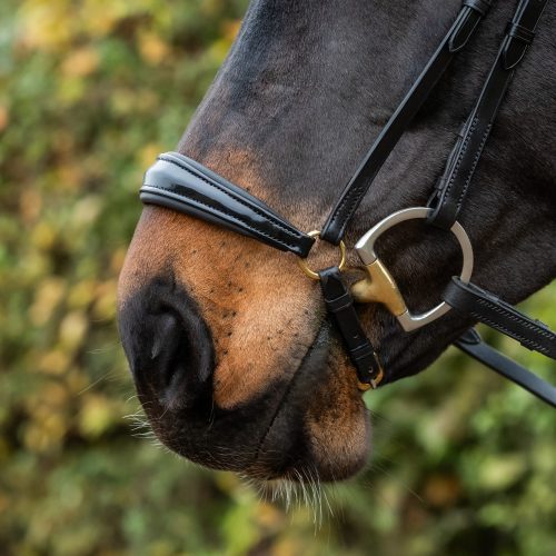 Patent Padded Drop Noseband
