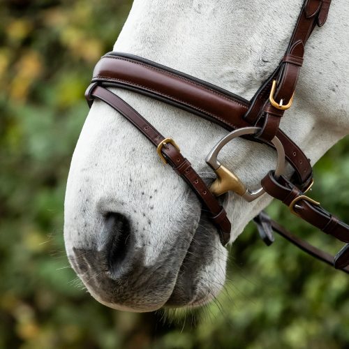 Padded Competition Flash Noseband