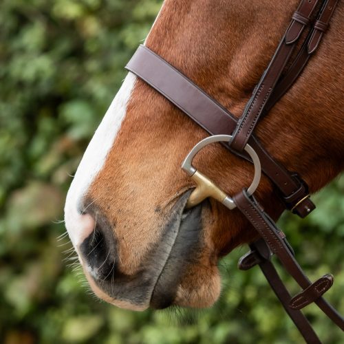 Sale - FULL Black 1 1/4” Hunter Noseband (809) (wrinkles on NB)